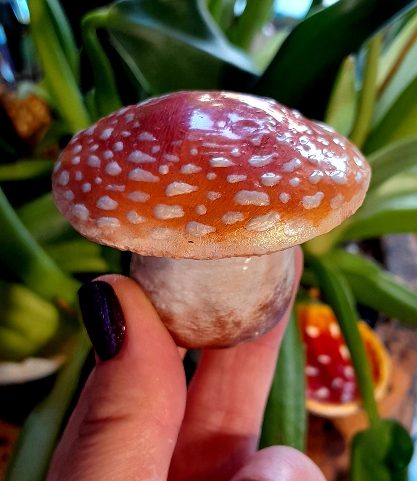 Creative art with witchy cat, flowers and mystical girl